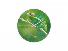 Часы настенные Nicole Time NT503 в Листвянском - listvyanskij.mebel-nsk.ru | фото